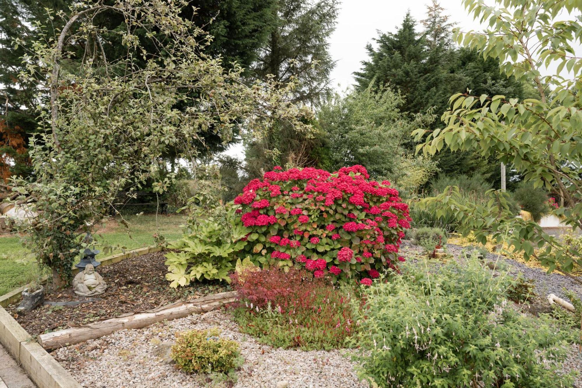Lakescape - Waterfront Self- Catering Cabins Enniskillen Exterior foto